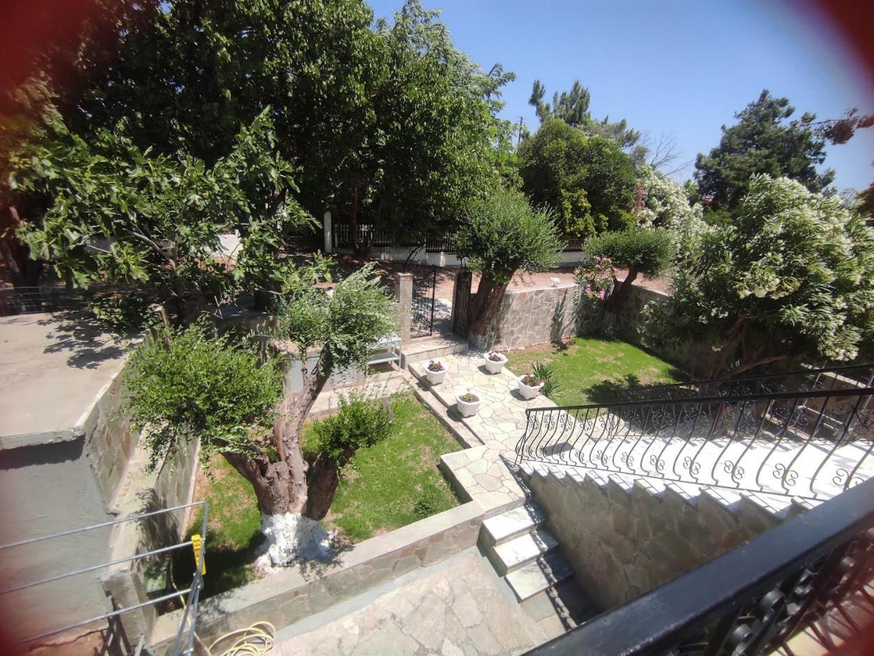 Sunrise Vergia Apartments Εξωτερικό φωτογραφία